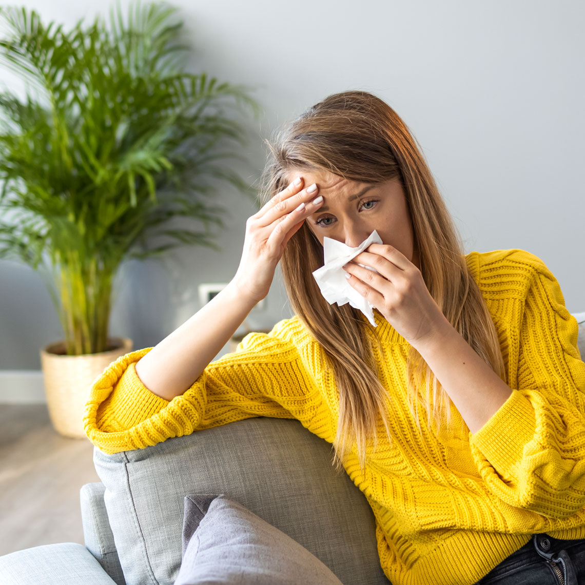 Humidity & Odors